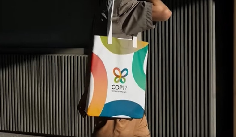 Ներկայացվել է CoP17-ի պաշտոնական տարբերանշանը. խորհրդանիշը երևանյան կապտաթիթեռն է