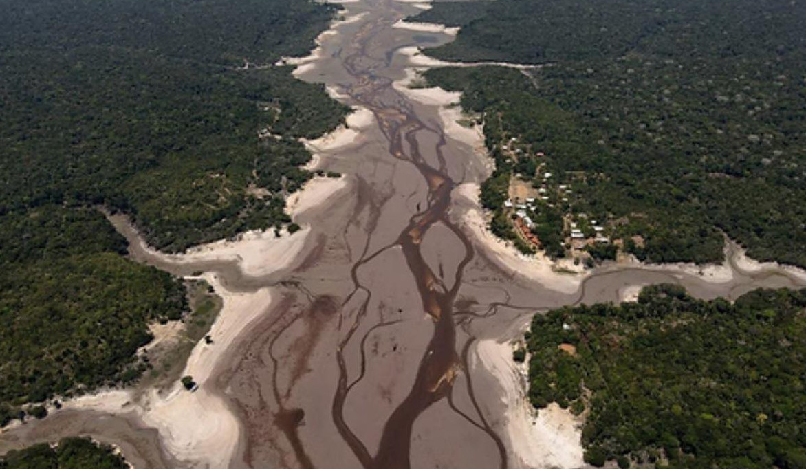 Ամազոնի արևադարձային անտառը սկսում է անցումը դեպի նոր կլիմայական վիճակի