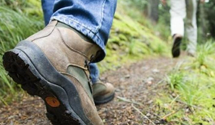 Մաթոսավանքի անտառամիջյան ճանապարհին քաղաքացին կնոջ և երեխաների հետ մոլորվել է