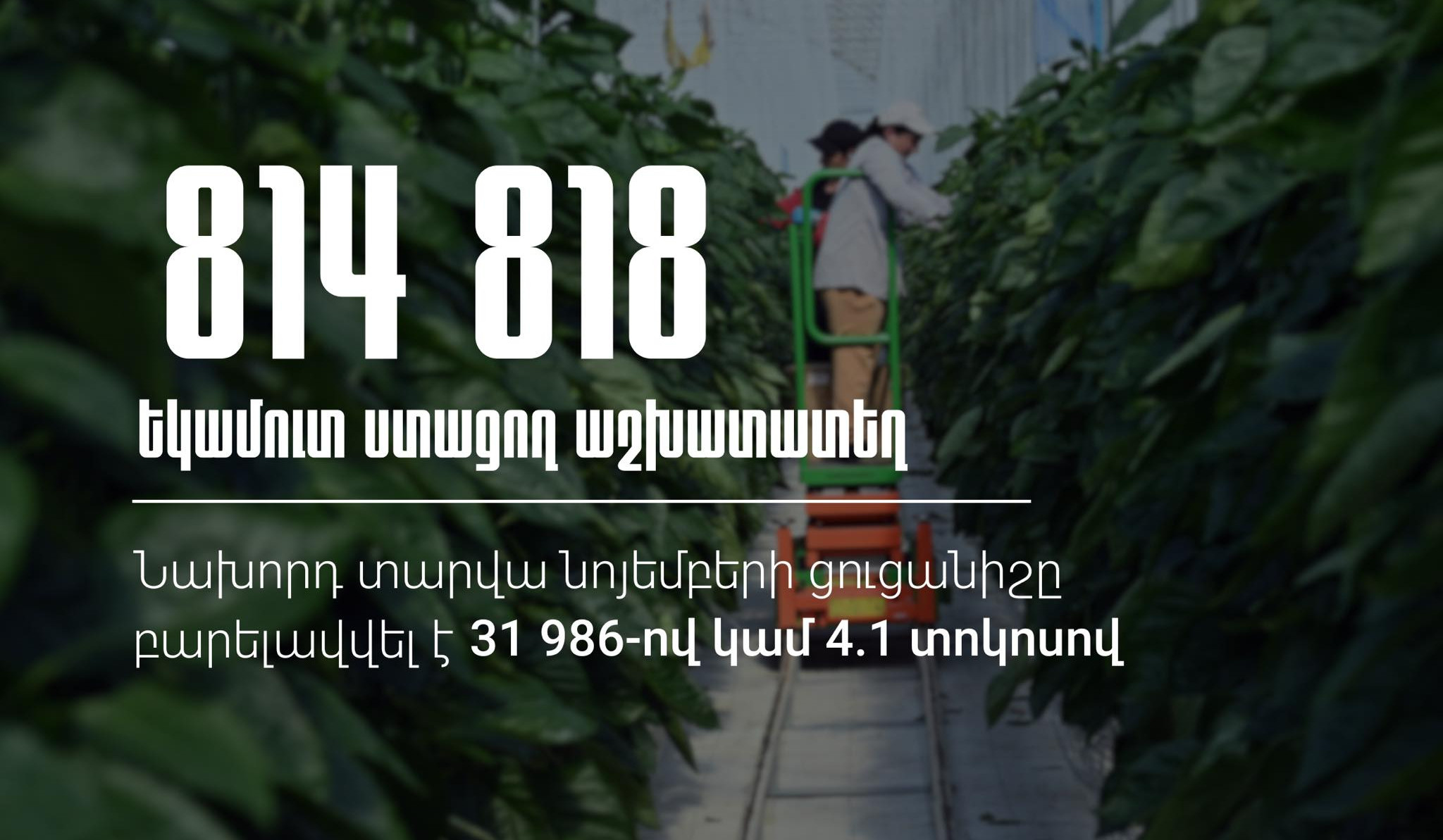 2025-ի նոյեմբերին եկամուտ ստացող աշխատատեղերի թիվը գերազանցել է նախորդ տարվա նույն ամսվա ցուցանիշը 4.1 տոկոսով. ՊԵԿ