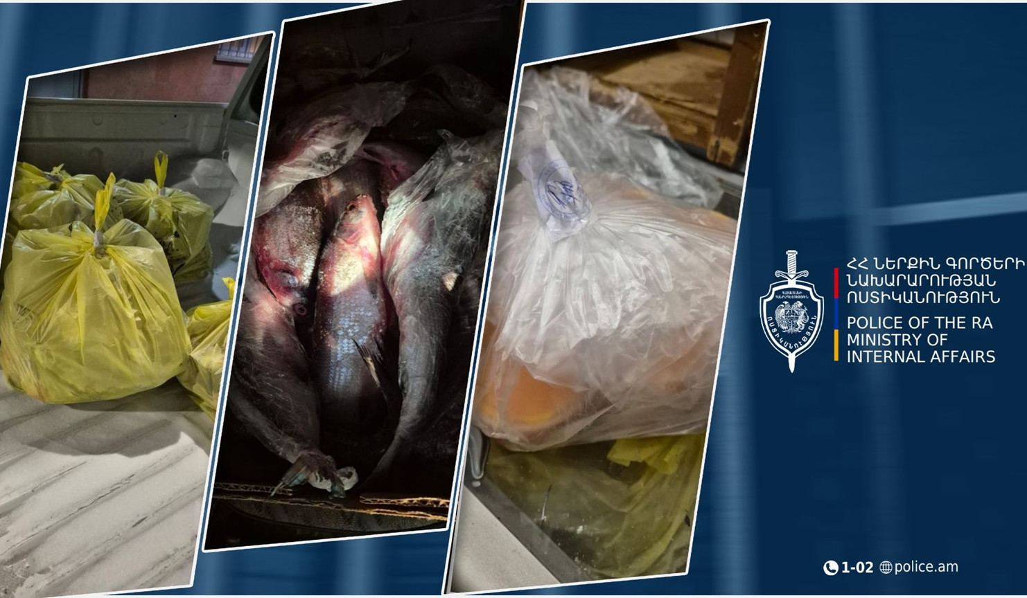 Ջրային պարեկները ավտոմեքենայում սիգ և ձկնկիթ են հայտնաբերել