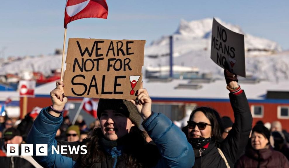 US plans to buy Greenland from Denmark: media