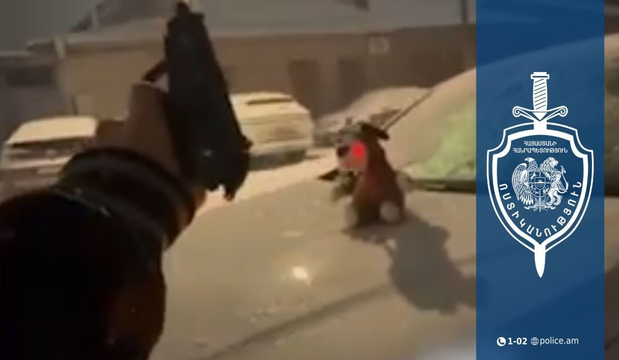 Երևանի պարեկները հայտնաբերել են Ամանորի գիշերը խուլիգանություն կատարած քաղաքացուն