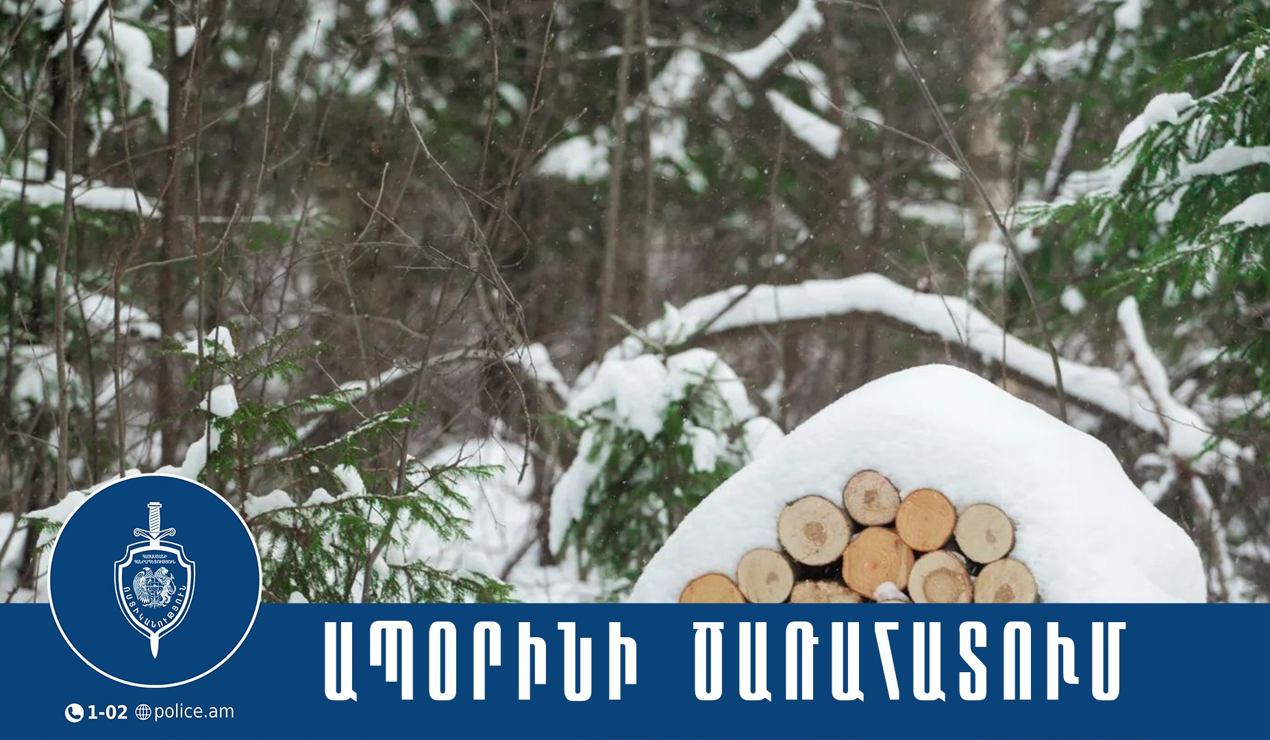 Արագածոտնի մարզի պարեկները ապօրինի ծառահատման դեպք են բացահայտել