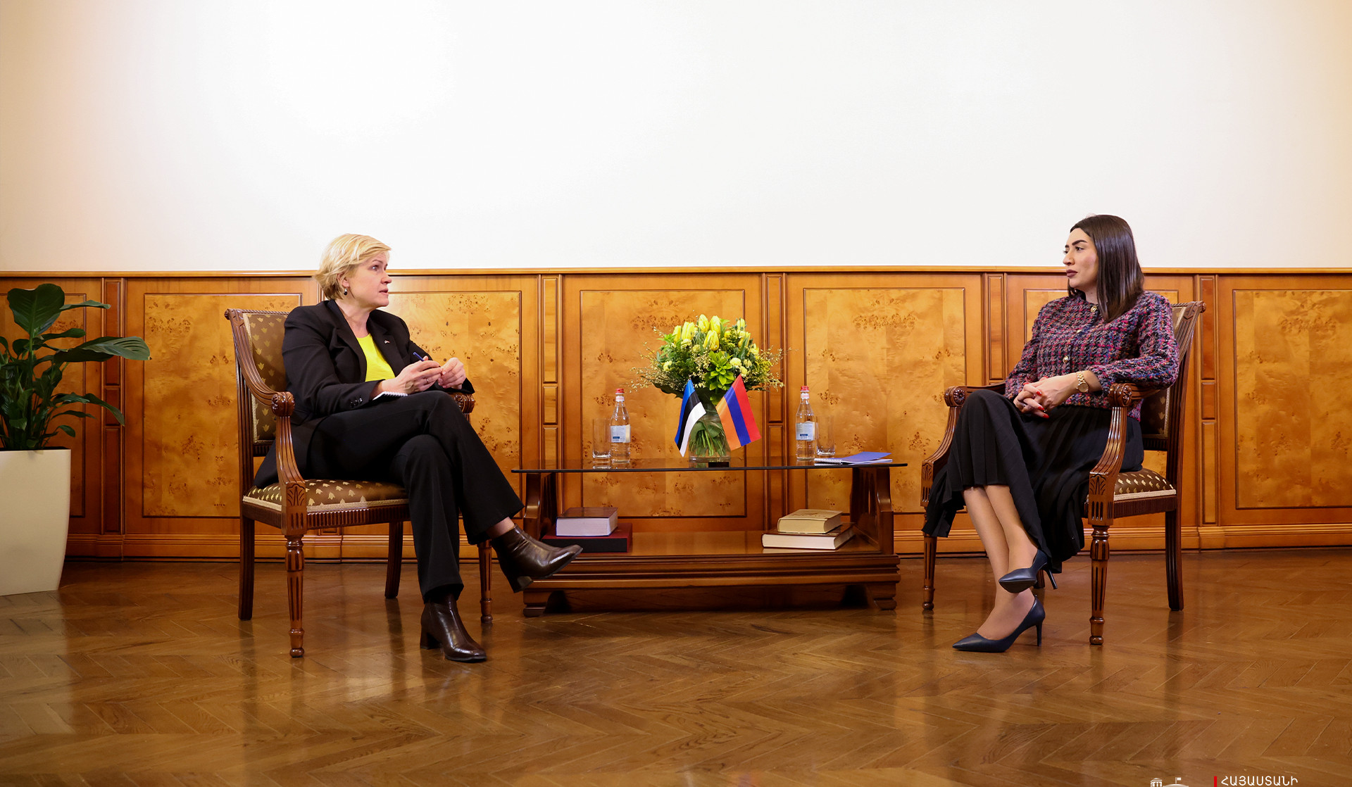 ՆԳ նախարարը Էստոնիայի դեսպանի հետ քննարկել է համագործակցության ընդլայնման հնարավորությունները