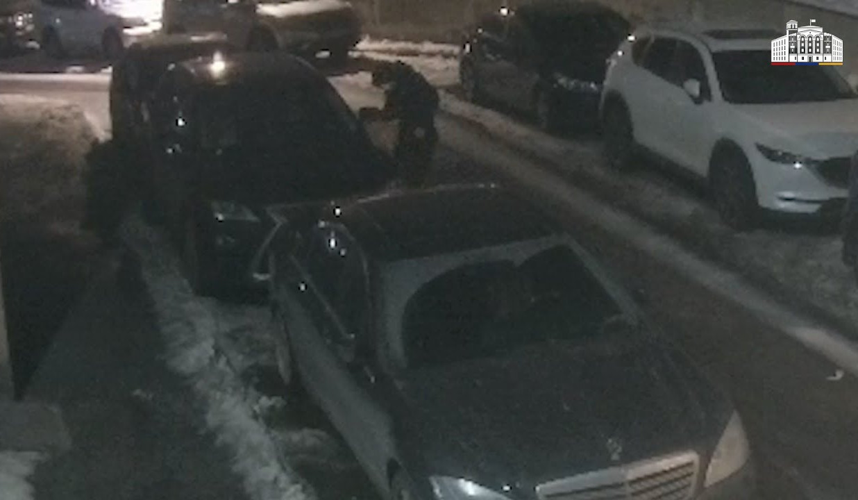 Ավանի համայնքային ոստիկանները ձերբակալել են մեքենայի հայելիներ գողացող երիտասարդներին