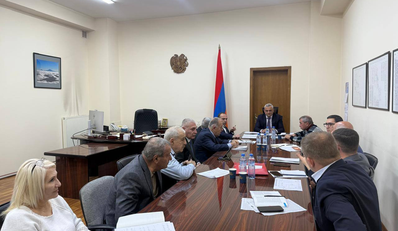 Քննարկվել է «Գավառ» 220 կՎ օդային գծի վերակառուցման հարցը