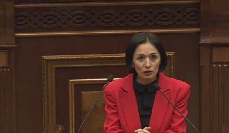 Այս տարվա հունվարին արդեն ավելի քան 100 կրթական ծրագիր է երաշխավորվել՝ սոցիալական կրեդիտների վերադարձի շրջանակում. Ժաննա Անդրեասյան