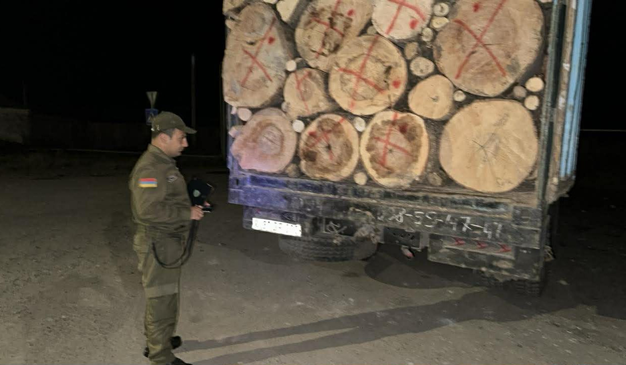 2025-ին ապօրինի հատվել է 11852 ծառ. ԲԸՏՄ