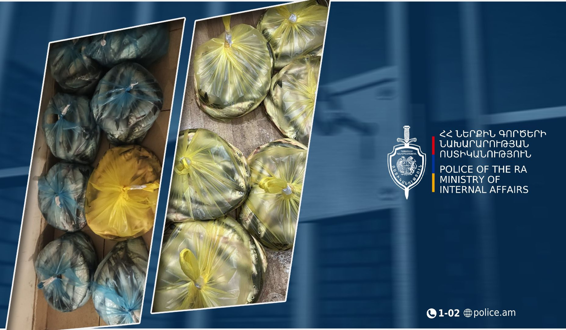 Ջրային պարեկները ապօրինի որսած սիգ են հայտնաբերել