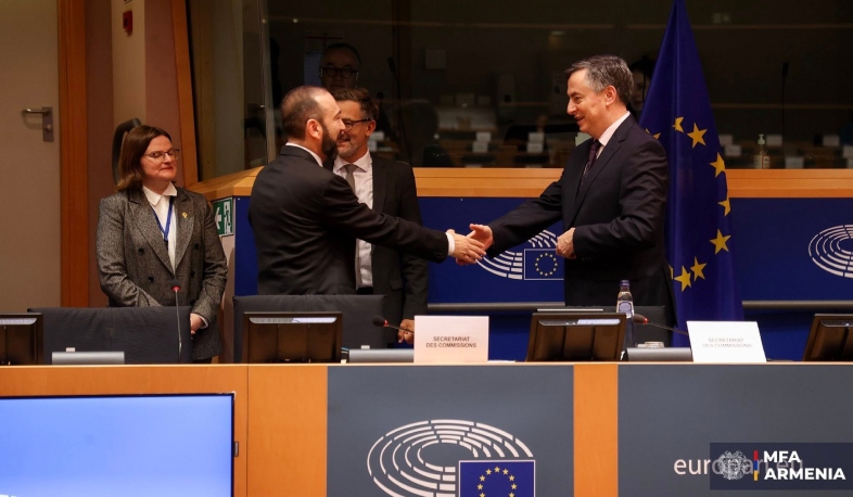 Ararat Mirzoyan presented Armenia's peace agenda and prospects for Armenia-EU relations at European Parliament