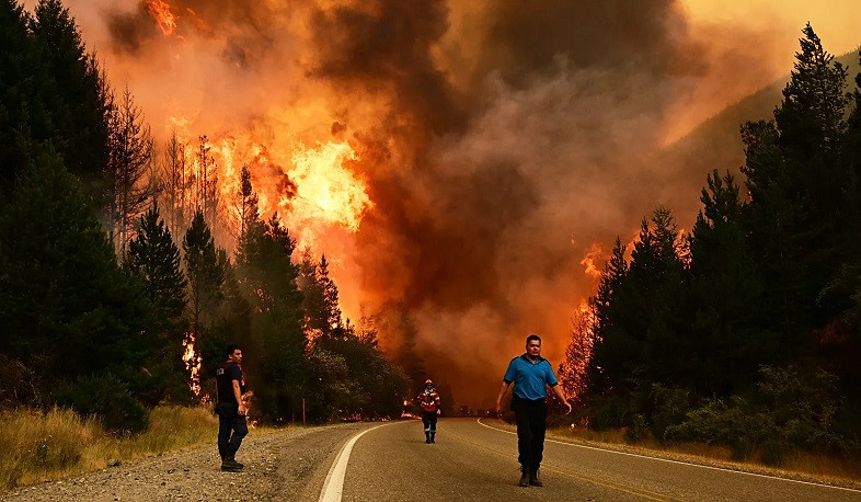 Ancient forests of national park in Argentina are burning