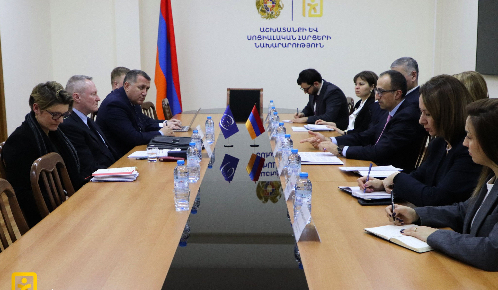 ԱՍՀ նախարարն ու ԵԽ հանձնակատարը քննարկել են աշխատանքի և սոցիալական պաշտպանության ոլորտում հիմնական ուղղությունները