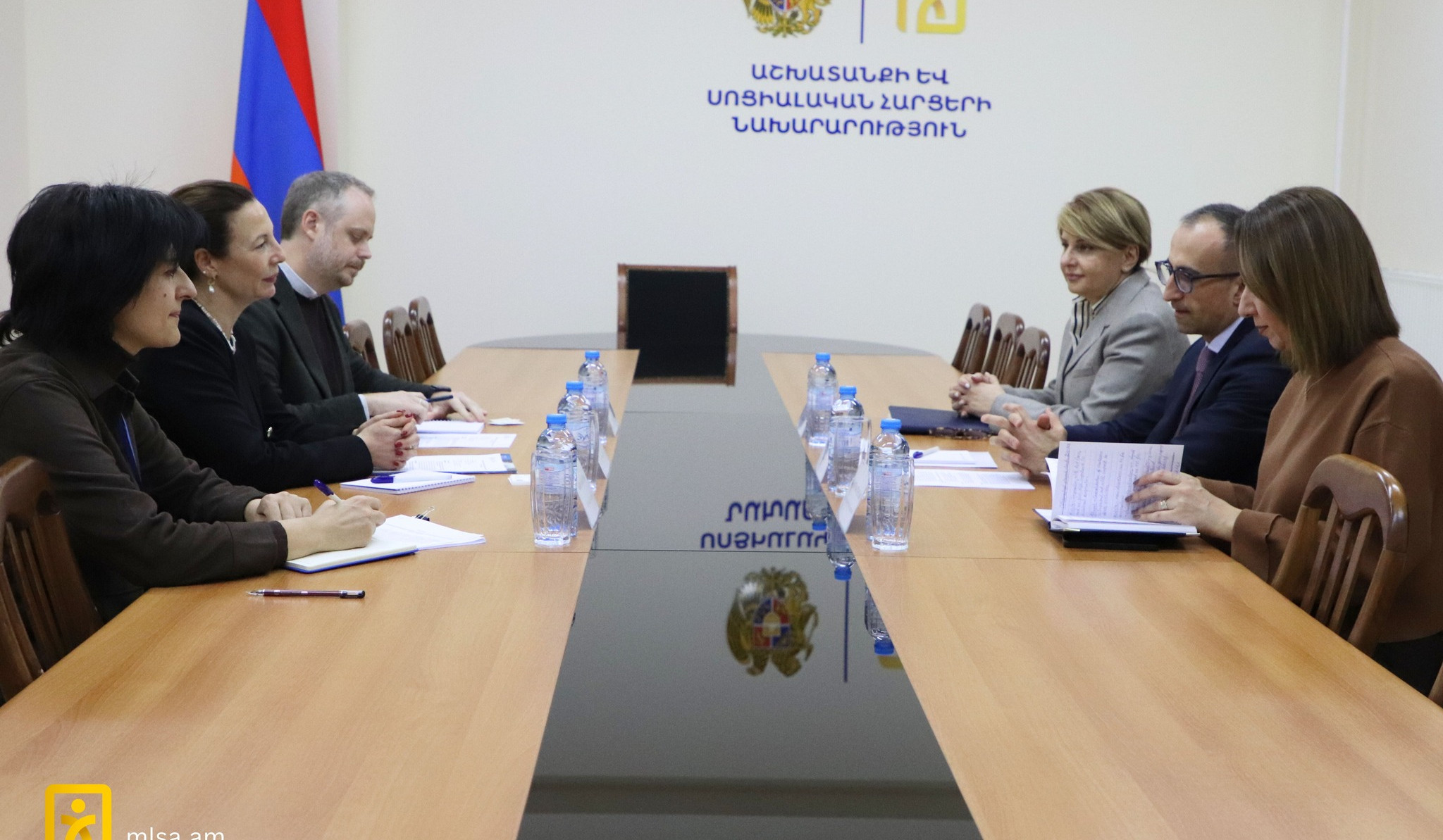 Արսեն Թորոսյանը և Պարենի համաշխարհային ծրագրի ներկայացուցիչները քննարկել են սոցիալական աջակցության ծրագրերը