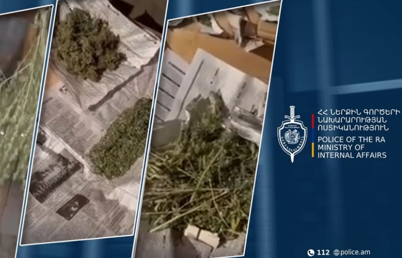 Ամբերդ գյուղի բնակչի տան տանիքում և նկուղում թմրամիջոց է հայտնաբերվել