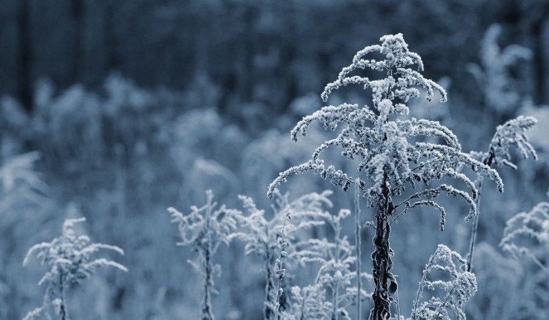 Հանրապետության առանձին շրջաններում սպասվում են տեղումներ, լեռնային շրջաններում՝ ձյան և ձնախառն անձրևի տեսքով