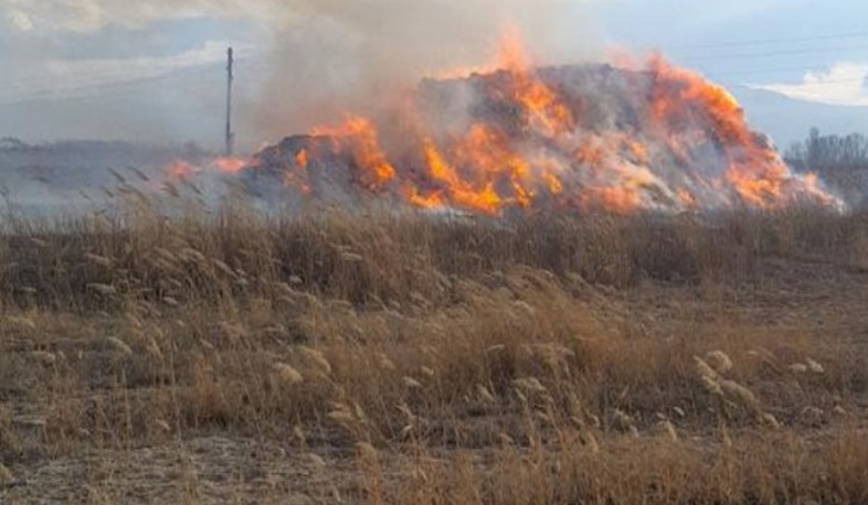 Ռանչպար բնակավայրում մոտ 4000 հակ անասնակեր է այրվել