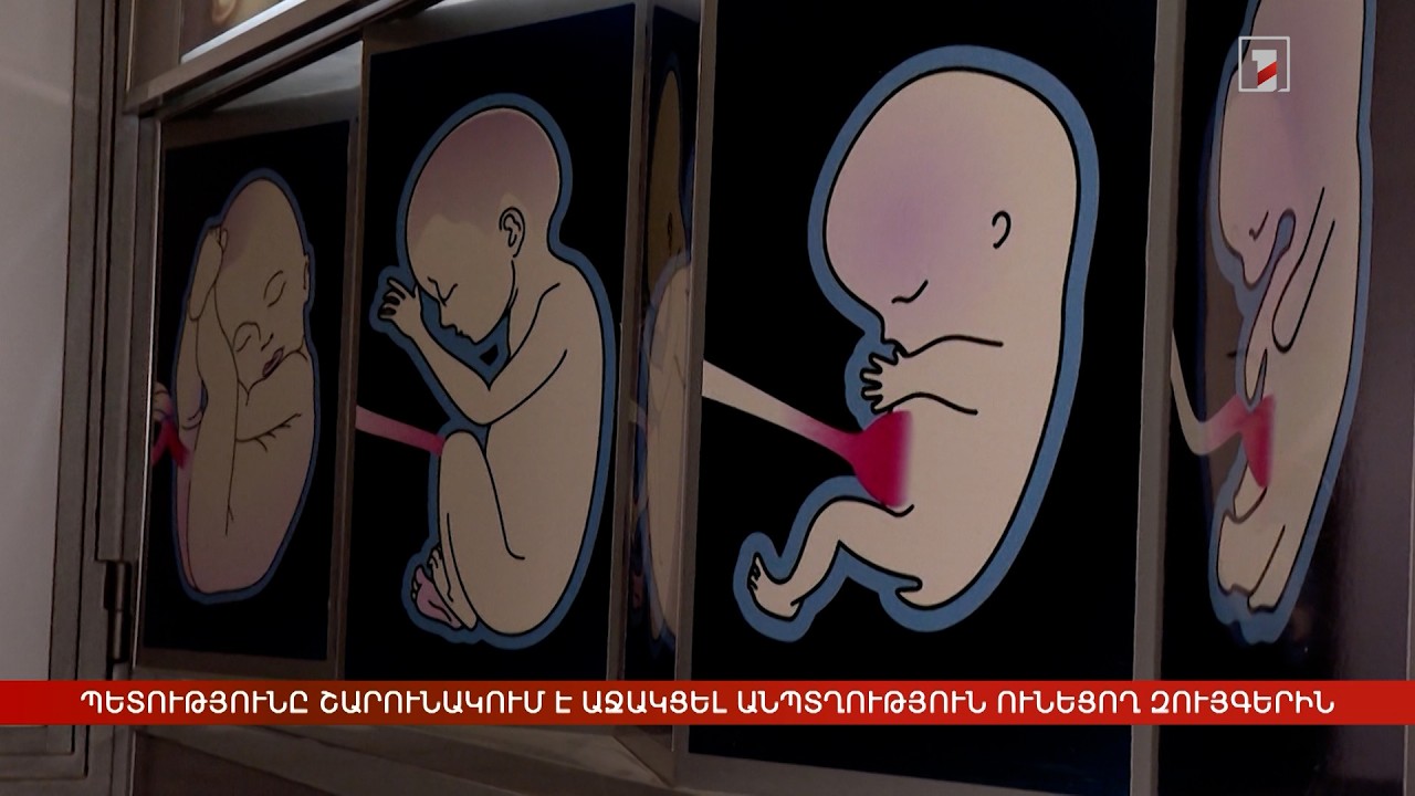 Անպտղություն ունեցող զույգերի աջակցության ծրագիր. ովքե՞ր կարող են դիմել