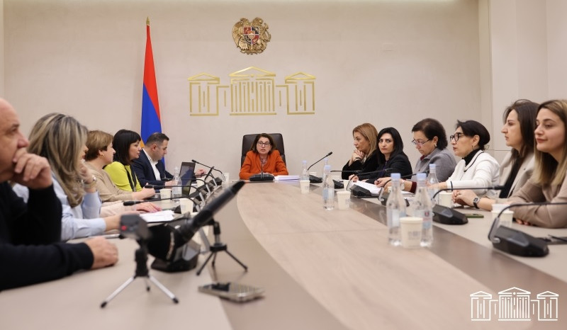Քննարկվել են առողջության համընդհանուր ապահովագրության հետ կապված հարցեր. ներկա են եղել նաև բժիշկներ