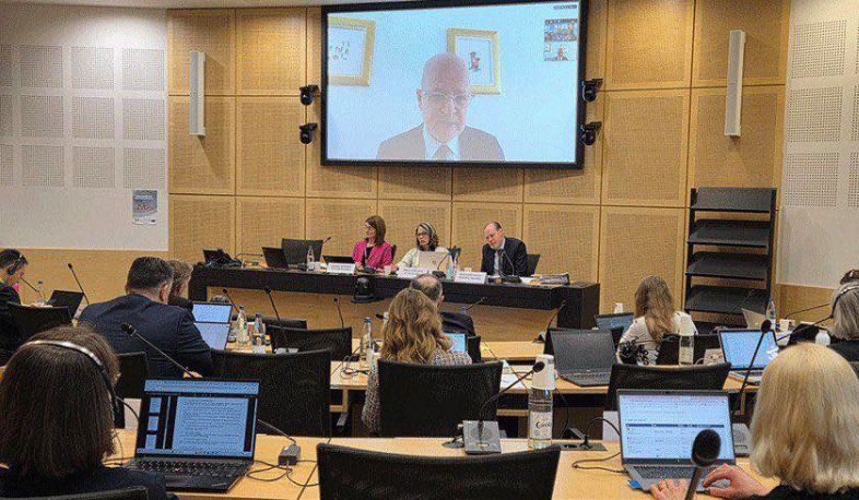 Անահիտ Մանասյանը Ստրասբուրգում մասնակցել է Խոշտանգումների կանխարգելման եվրոպական կոմիտեի 119-րդ լիագումար նիստին