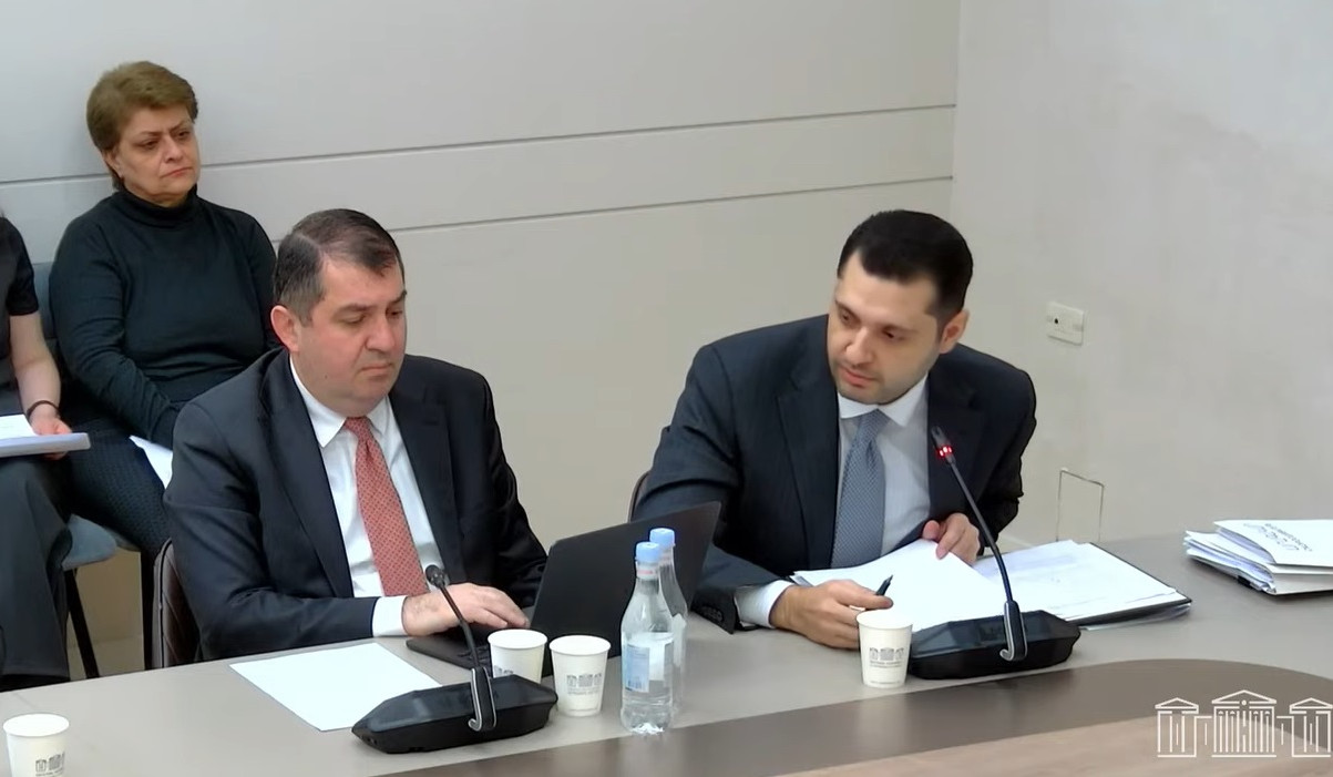 ԱԺ-ում քննարկվել է «Խոշոր կատվազգիների հարցերով միջազգային դաշինքի վերաբերյալ» շրջանակային համաձայնագիրը վավերացնելու հարցը