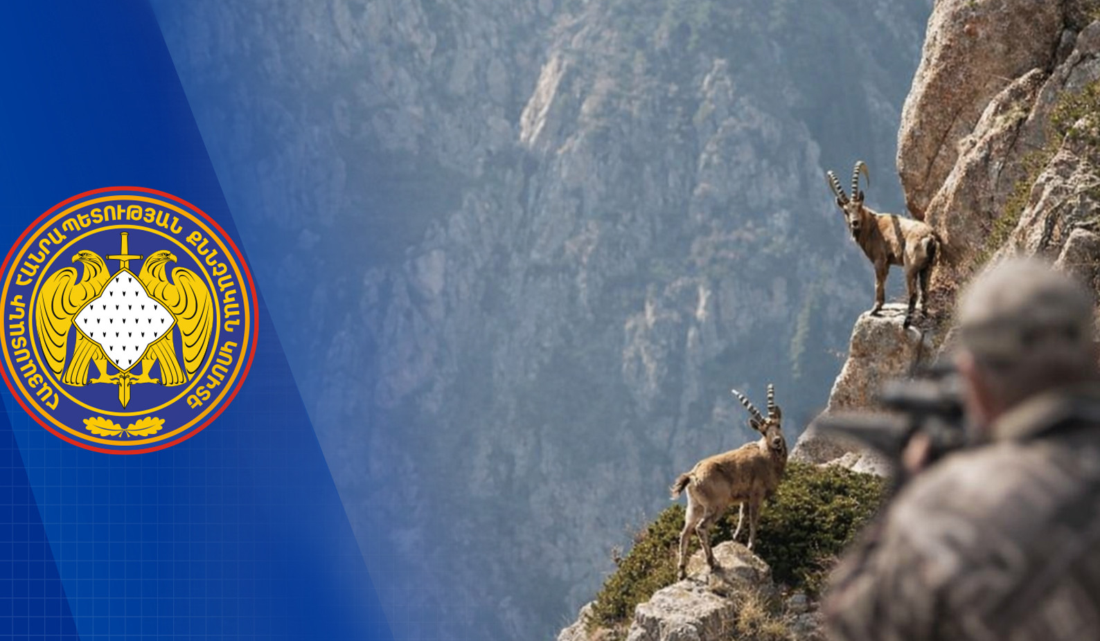 Բեզոարյան այծի ապօրինի որսի դեպքի առթիվ նախաձեռնված քրվարույթի նախաքննությունն ավարտվել է, պետությանը պատճառված վնասը՝ վերականգնվել․ ՔԿ