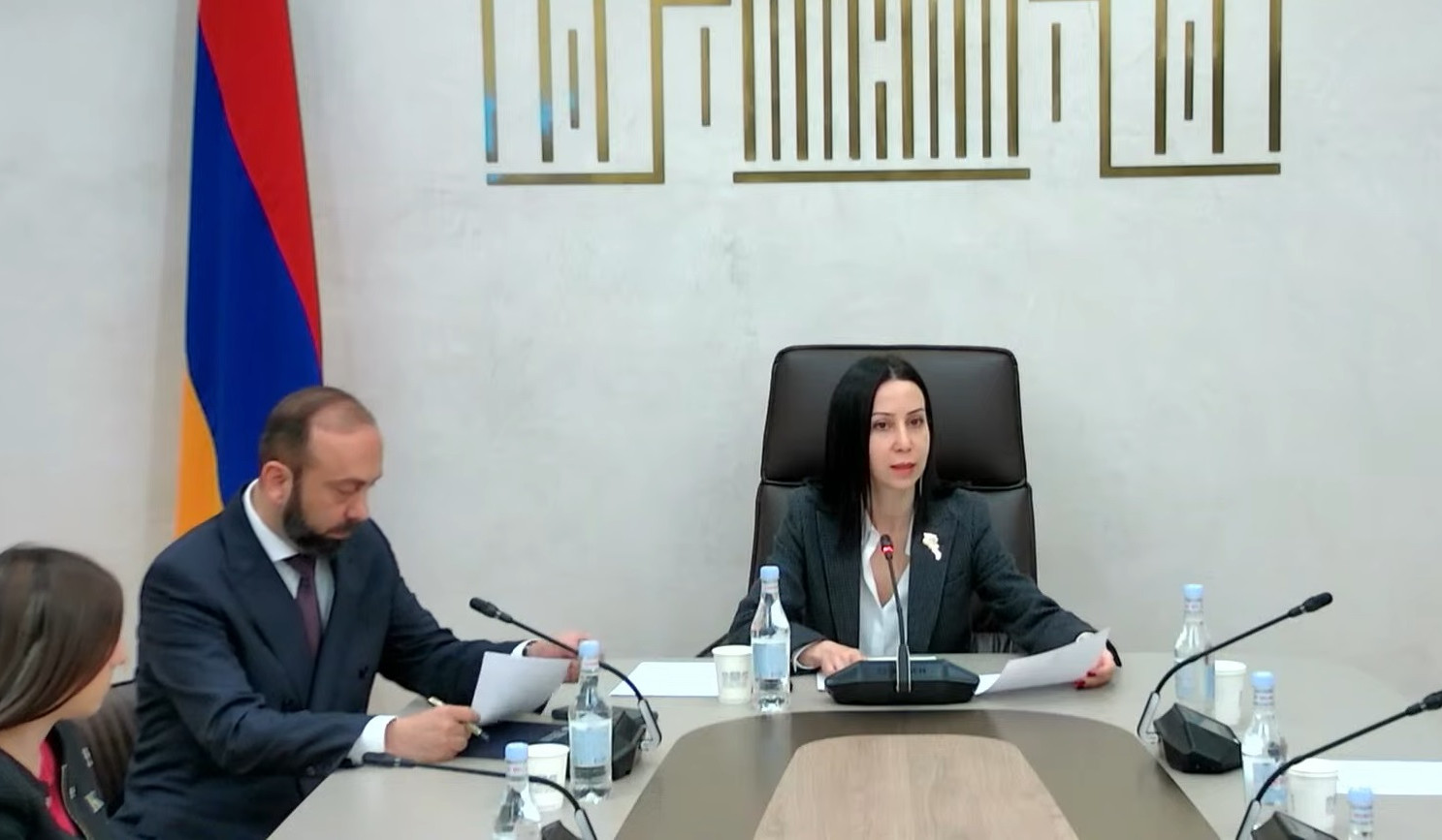 Արտաքին հարաբերությունների մշտական հանձնաժողովում քննարկվել է Կառավարության ծրագրի 2025 թ. կատարողականը