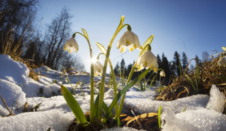 Հանրապետության շրջանների զգալի մասում սպասվում են տեղումներ. օդի ջերմաստիճանն էապես չի փոխվի