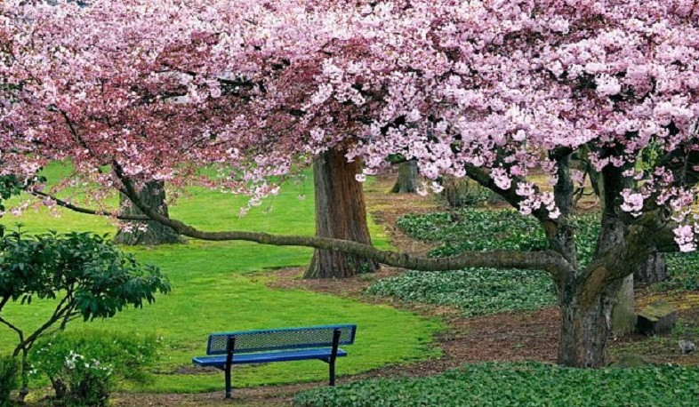 Օդի ջերմաստիճանը առաջիկա օրերին կբարձրանա 2-4 աստիճանով