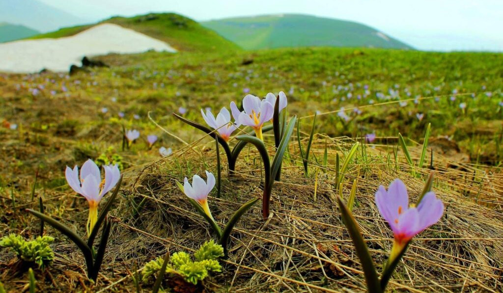 Առաջիկա օրերին սպասվում են տեղումներ․ ջերմաստիճանը կբարձրանա