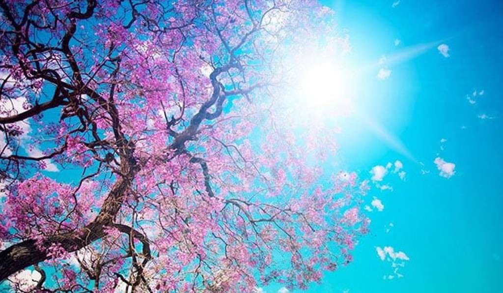 Ապրիլի 6-ին սպասվում է առանց տեղումների եղանակ