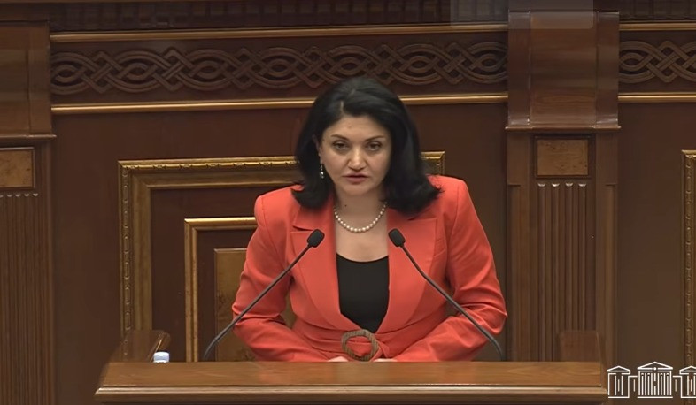 Բուժաշխատողները ավելի բարձր աշխատավարձ պետք է ստանան՝ հիմնվելով ծանրաբեռնվածության և որակի վրա. Լենա Նանուշյան