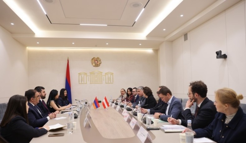 Sargis Khandanyan meets with parliamentarians of Austria