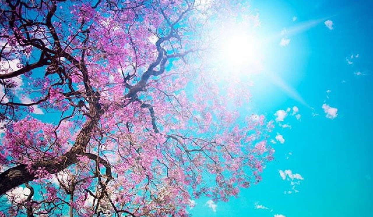 Առաջիկա երեք օրը սպասվում է առանց տեղումների եղանակ․ ջերմաստիճանը կբարձրանա