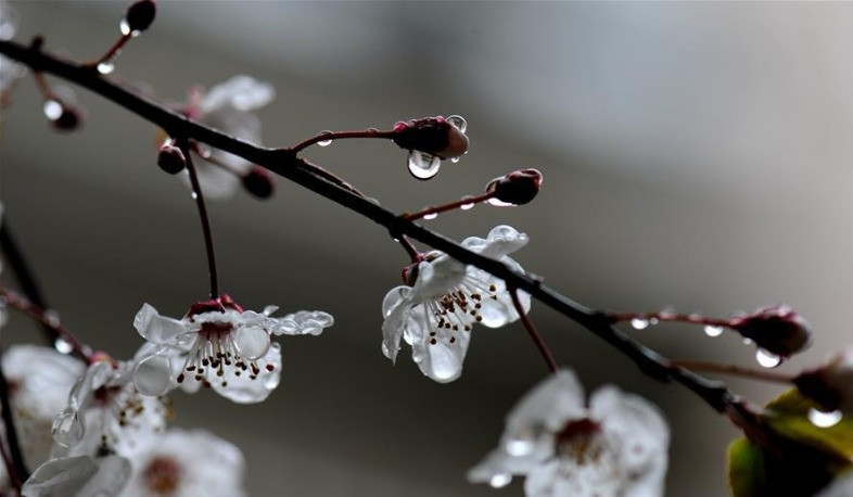 Հանրապետության շրջանների զգալի մասում սպասվում է անձրև, հնարավոր է՝ ամպրոպ