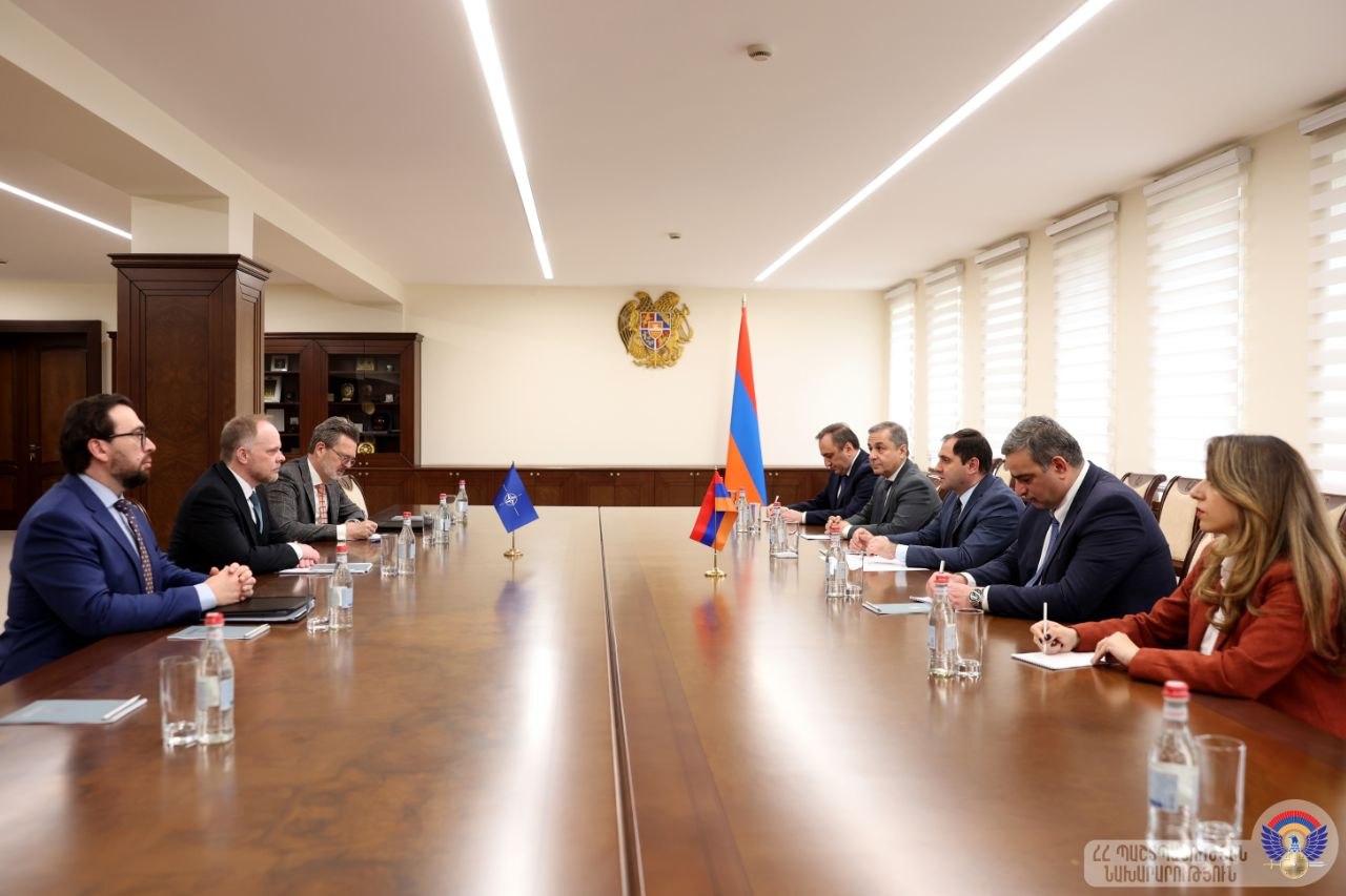 Minister Papikyan and NATO Secretary General’s Special Representative discuss cooperation issues