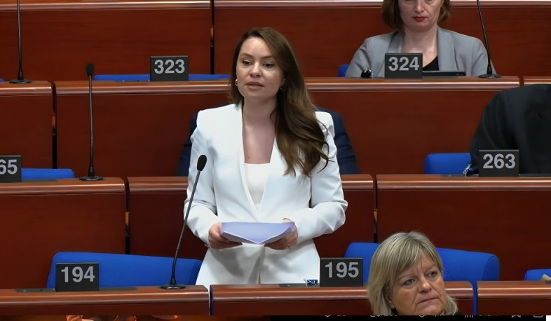 Հայաստանում քաղաքականությունը երկար տարիներ խիստ դեմոնիզացված է եղել. Սոնա Ղազարյանը՝ ԵԽԽՎ-ում