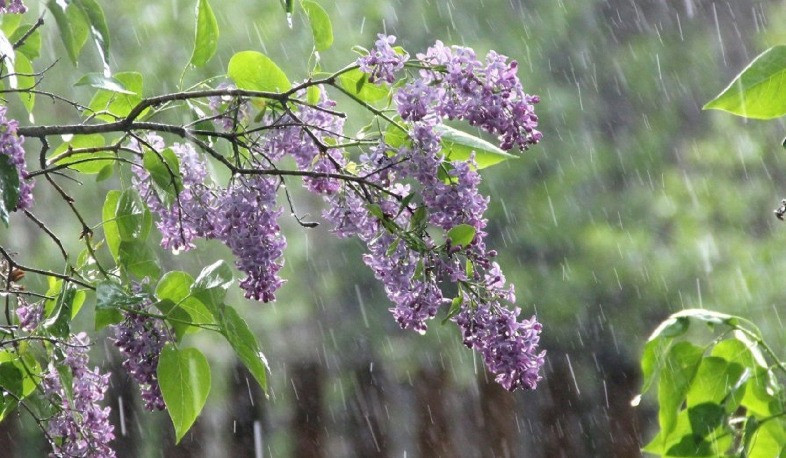 Առաջիկա օրերին ջերմաստիճանը կբարձրանա. շրջանների զգալի մասում սպասվում են անձրև և ամպրոպ