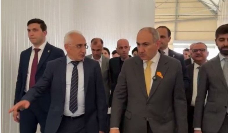 Արթիկ համայնքում հիմնվել է 9 հա ելակի և 1,4 հա հատապտղի ջերմատուն. վարչապետ