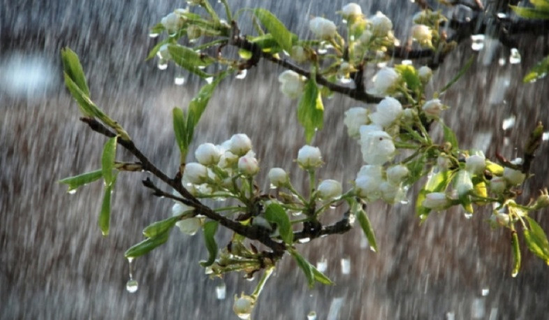 Ջերմաստիճանն էապես չի փոխվի. առանձին շրջաններում սպասվում են անձրև և ամպրոպ