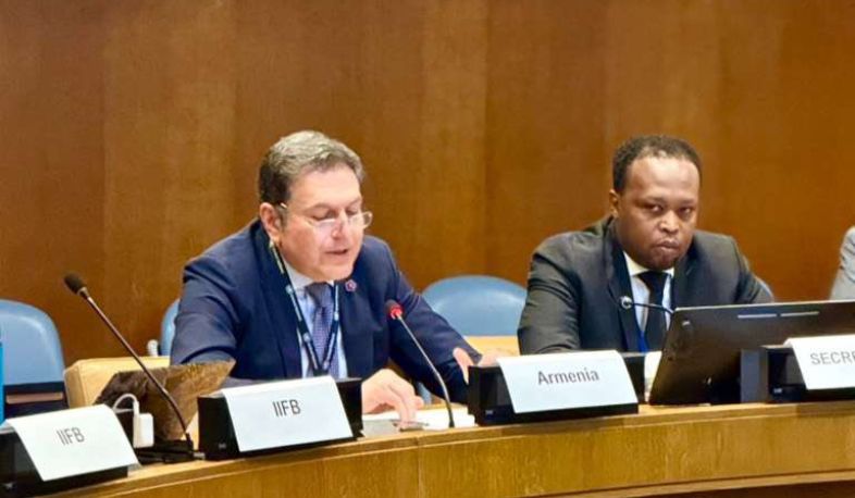 Հայաստանը ներկայացրեց COP17-ի առաջնահերթությունները ՄԱԿ-ում