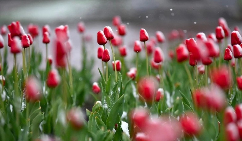 Հանրապետության առանձին շրջաններում սպասվում է անձրև և ամպրոպ, օդի ջերմաստիճանն էապես չի փոխվի