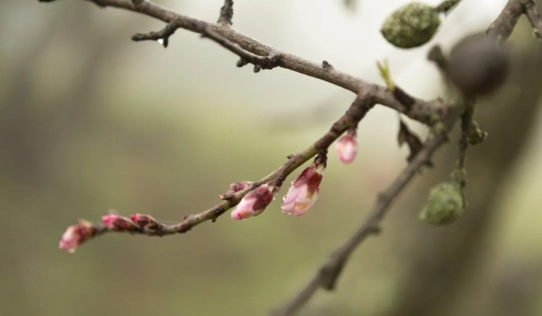 Հանրապետության առանձին շրջաններում սպասվում է կարճատև անձրև և ամպրոպ