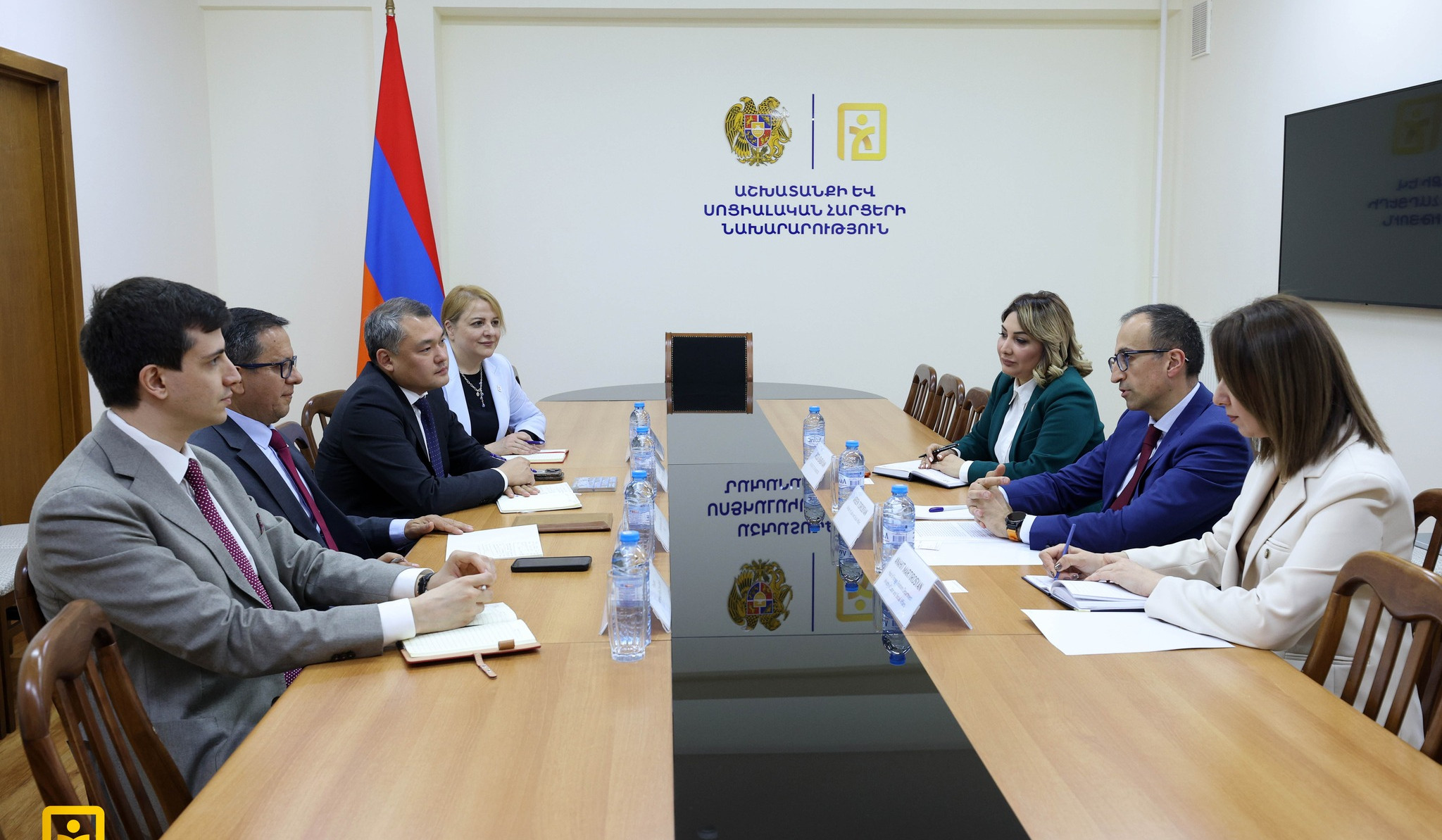 Արսեն Թորոսյանը և Խավիեր Կաստելանոս Մոսկերան քննարկել են սոցիալական պաշտպանության ոլորտում համատեղ ծրագրերի ընթացքին առնչվող հարցեր