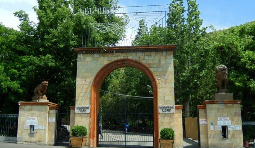 Երևանի կենդանաբանական այգու աշխատակազմից հերքում են լուրը, թե զեբր է փախել