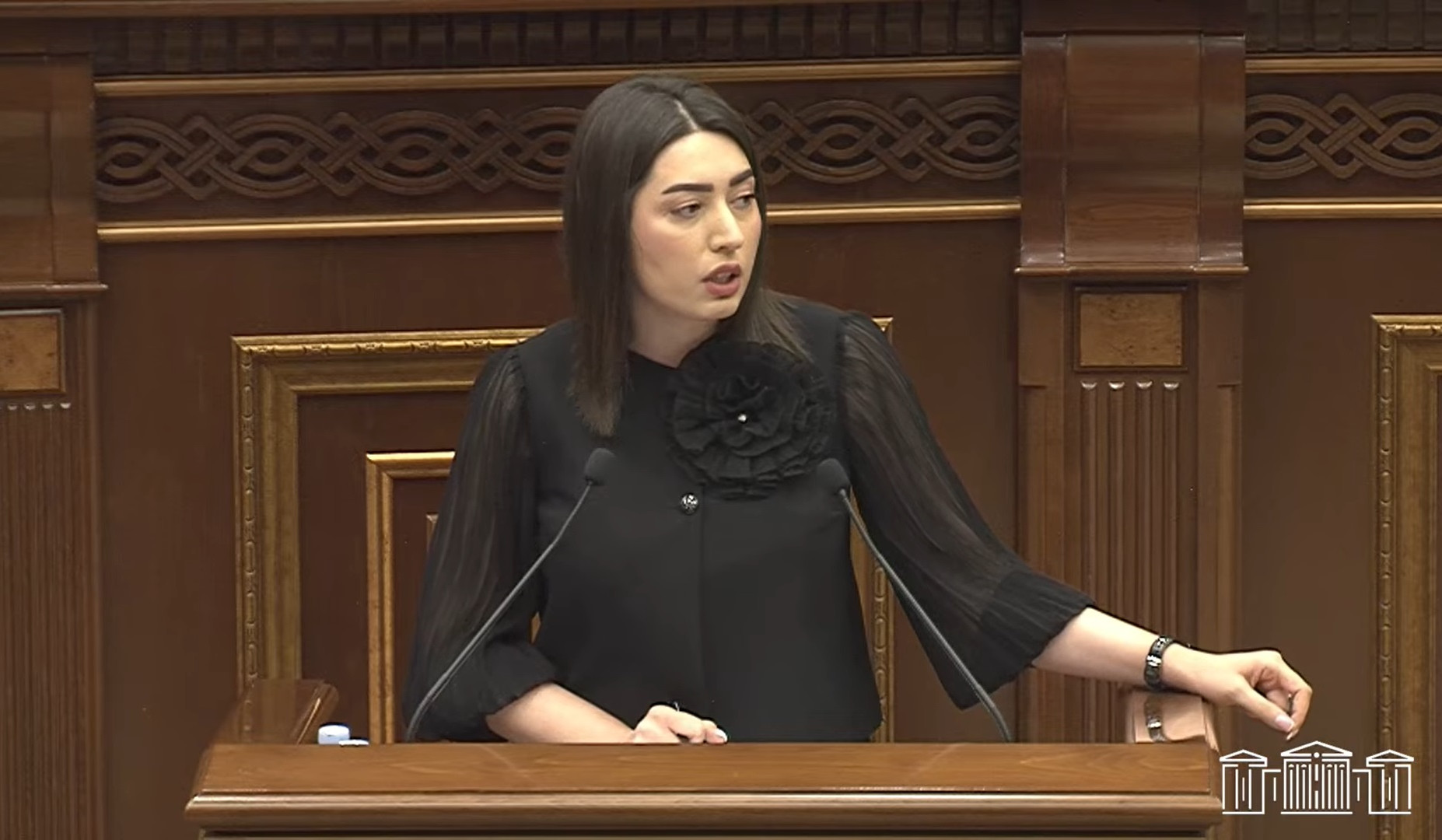 Ունեցել ենք բիոմետրիկ համակարգ, բայց այն որևէ աղերս չունի կենսաչափական համակարգի հետ. ՆԳ նախարար