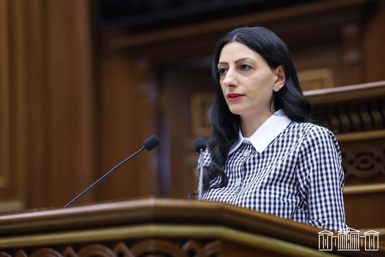 Ombudsman təxminən 250 beynəlxalq görüşdə Azərbaycanda saxlanılan ermənilər məsələsini qaldırıb