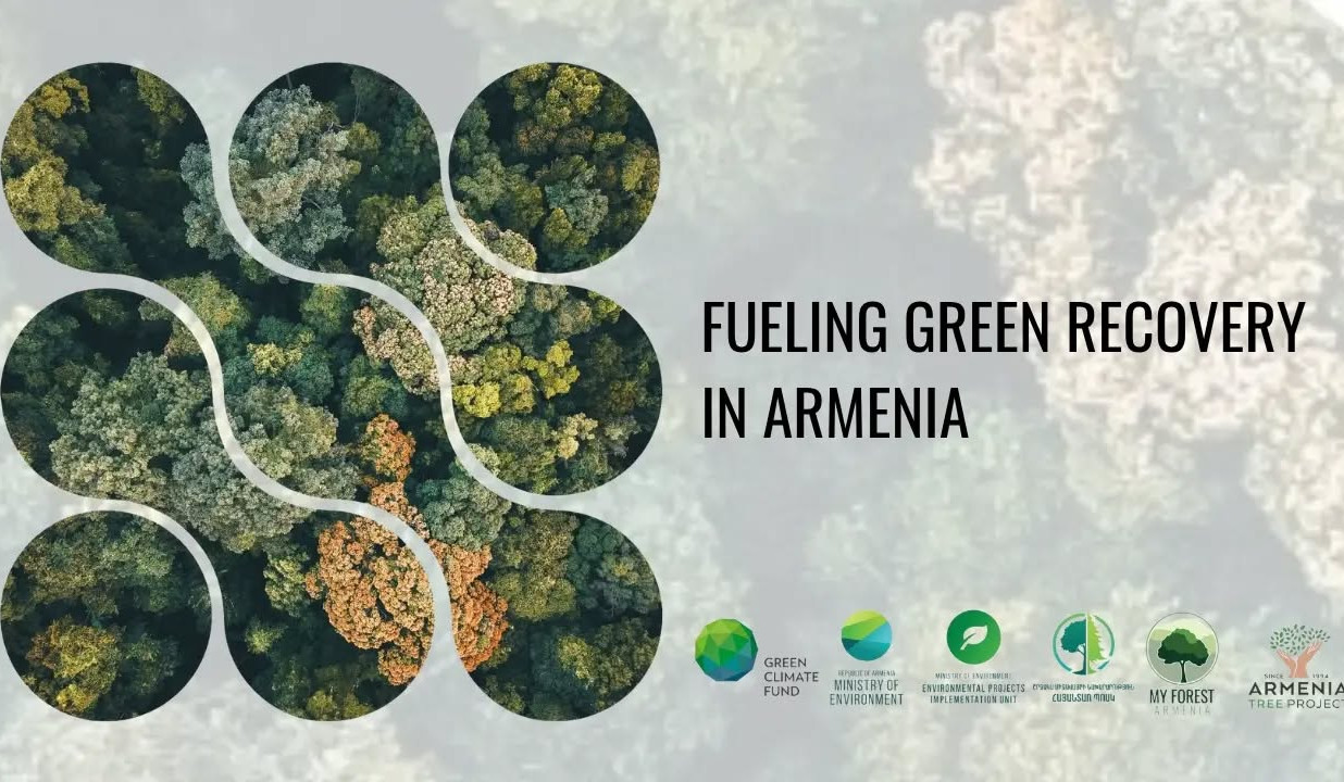 500 հեկտար նոր անտառ մինչև 2030 թվականը