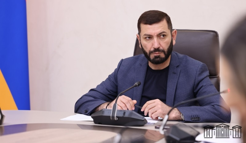 Ընտանեկան և կենցաղային բռնության ենթարկված անձանց պաշտպանության շրջանակում առաջարկվում է ռեաբիլիտացիոն ծրագիր իրականացնել