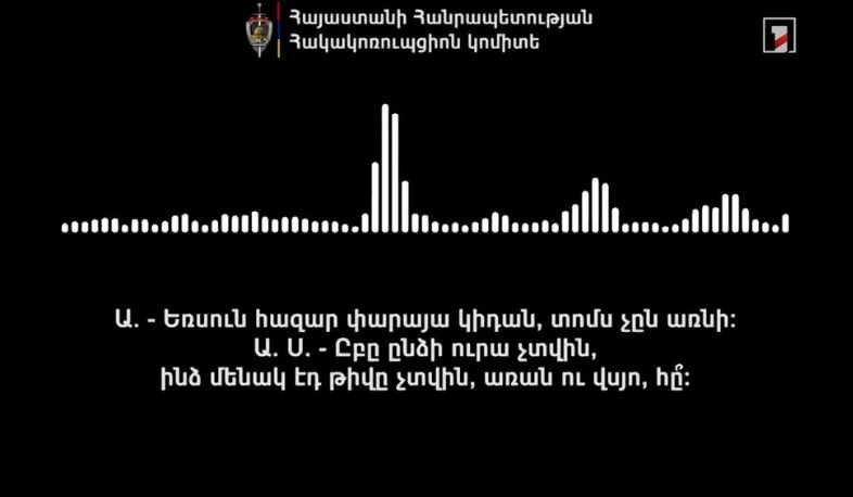 «Ուժեղ Հայաստանի» կողմնակիցը ընտրակաշառք է առաջարկել արտերկրից ՀՀ գալու և քվեարկելու համար